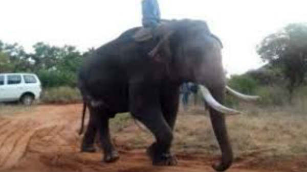 கும்மியாக மாற்ற எதிர்ப்பு: