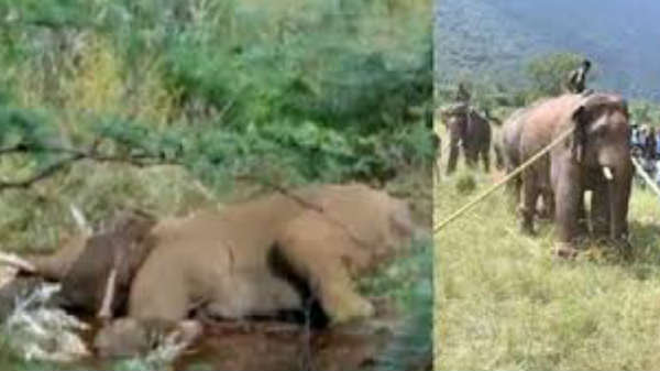 சின்னத்தம்பி சோர்வு: 