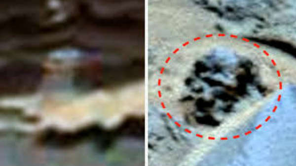 ஏலியனுக்கு முடிவுக்கு முற்றுப்புள்ளி: 