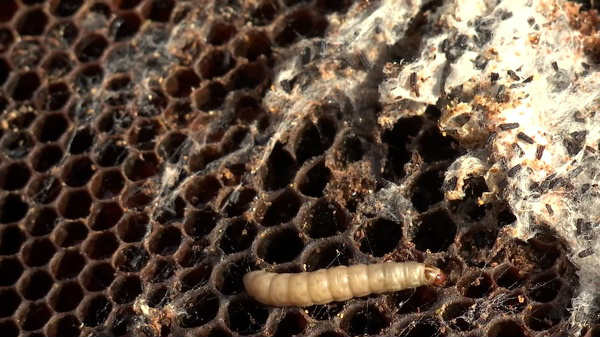 தீர்வை கண்டுபிடிக்க முயற்சி!