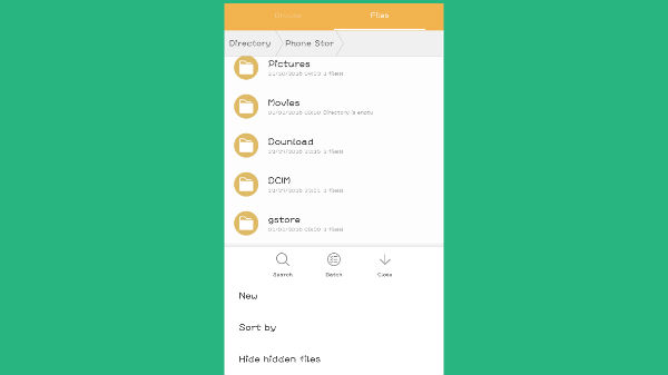 ஷோ ஹிடன் பைல்ஸ் 