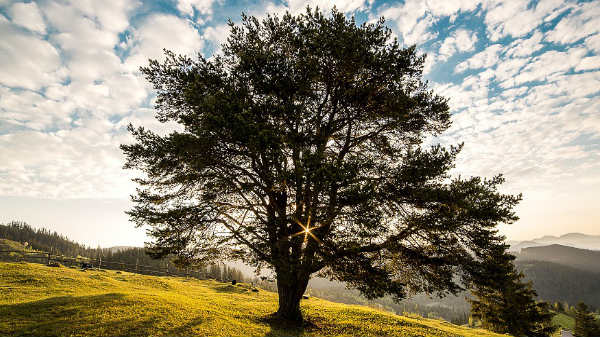 காற்றுக்கு எடை உள்ளது