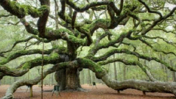 சுமார் 400,000 ஆண்டுகளுக்கு முன்பே!