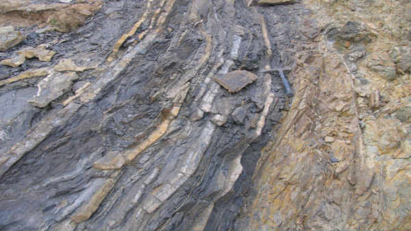 ஆச்சரியம் என்னவெனில்!