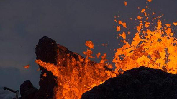 நச்சுத்தன்மையை உருவாக்கி இருக்கலாம்!