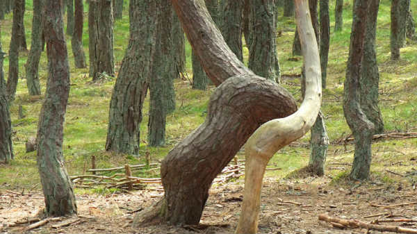 05. ரஷ்யாவின் 