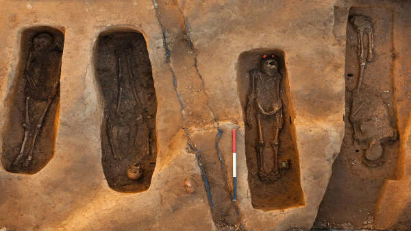 பாலைவன மம்மிகள்:  