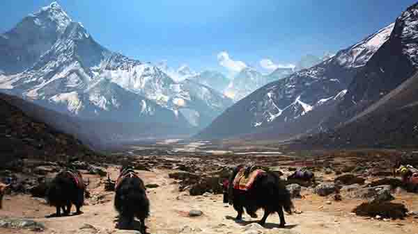 கடும் வறட்சி ஏற்படும்: 