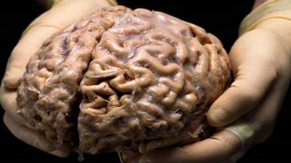 ஓரே நேரத்தில் இருமுறை பதிவு: 