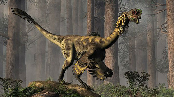  டைனோசர்களுடன் உயிர் வாழ்ந்த பறவை இனம்