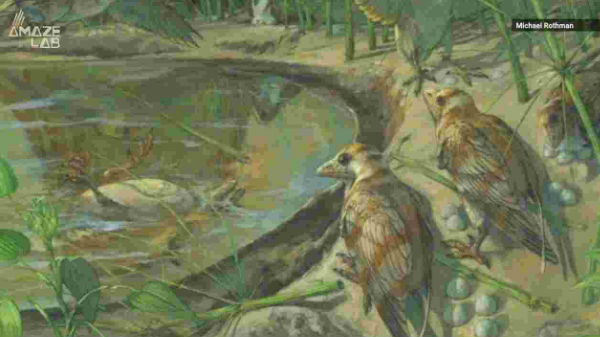 சீனாவில் 110 மில்லியன் ஆண்டு பறவை