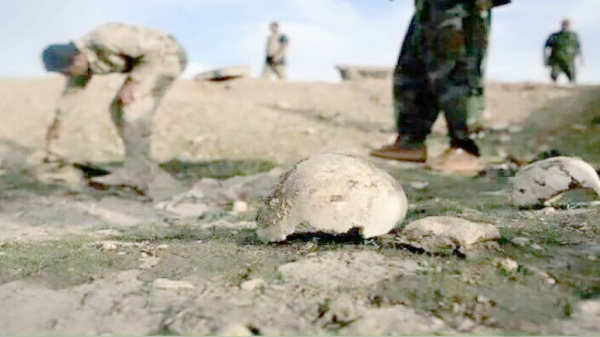 புதிய தகவல்வெளியானது: 