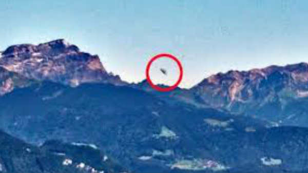 தடவியல் துறைக்கு அனுப்பட்டது: 