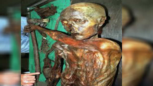 ஊட்ஸல் ஆல்பஸ்: