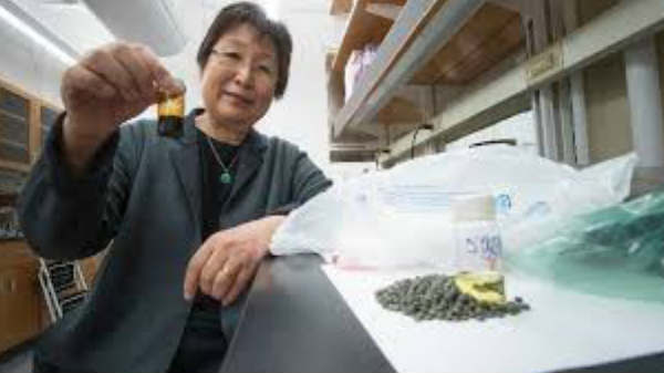 டீசல் பெட்ரோல் உருவாக்கியது: 