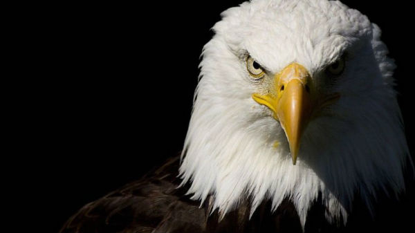 தினமும் குறைந்தது 355 கிலோ மீட்டர் பயணம்