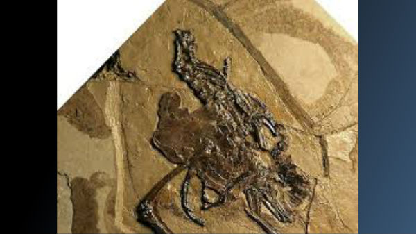 சோகமான உண்மை