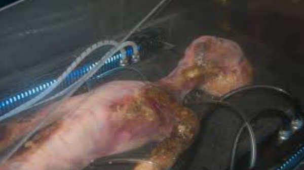 மர்மம் நீடிக்கும்: 