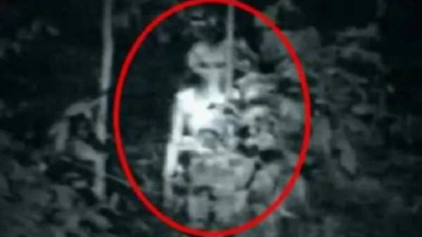 நிராகரிப்பு:  