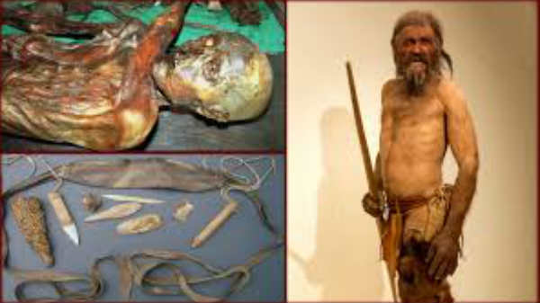 குரல் வலையை உருவாக்கிய விஞ்ஞானிகள்: 