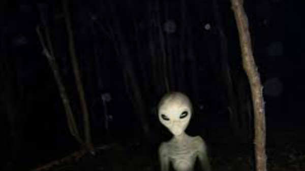 விளைநிலத்தில் ஏலியன் முகாம்: 