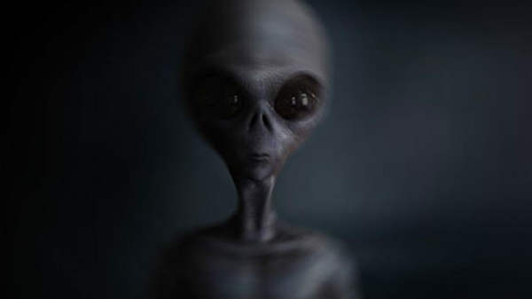 வாய்ப்புகள் உண்டு என்று கூறும் இதே ஆய்வானது!