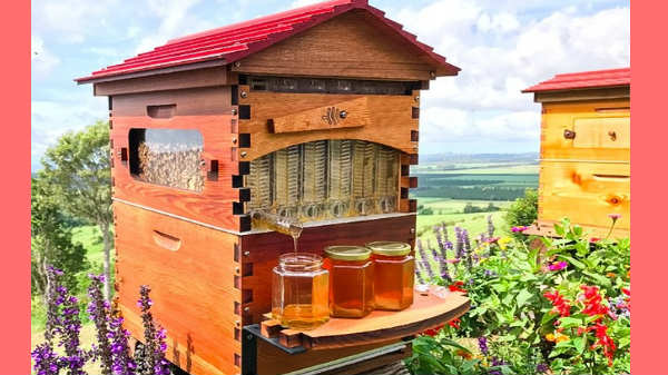 6. ஸ்மார்ட் ஹைவ்