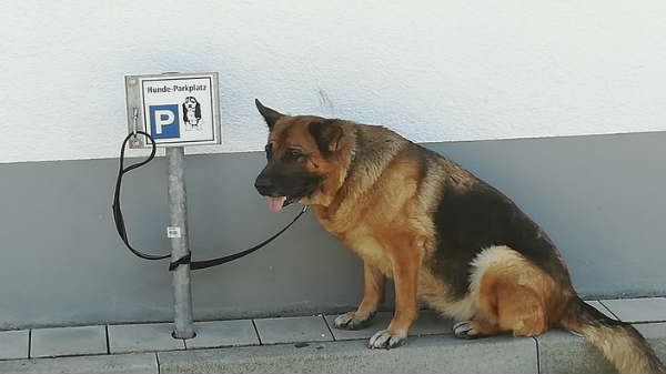 8 - பார்க்கிங்