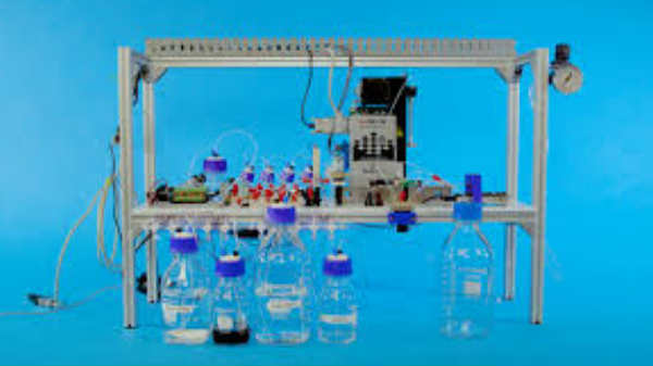 டிஜிஎன்ஏ வடிவம் உருவாக்கம்: 