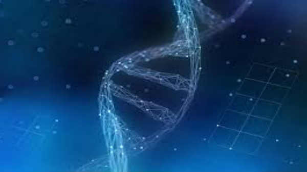 படங்கள் தேடி கண்டுபிடிக்கும் வசதி: 