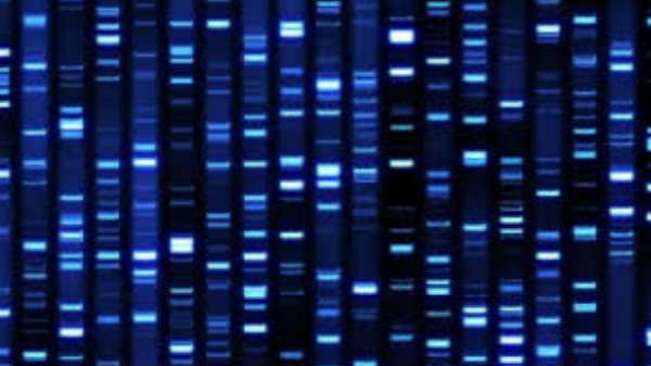 ஹலோ  கூறியது: 