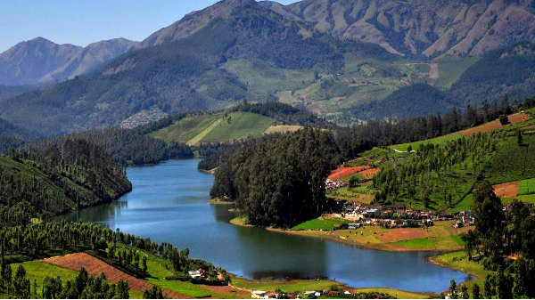 நீலகிரி மலை மாவட்டம்: 