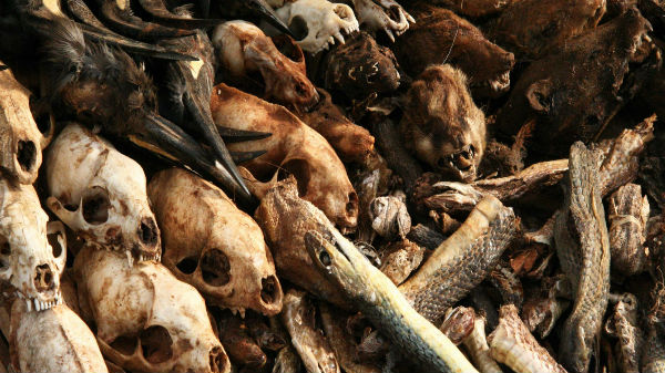 சற்று சிந்தியுங்கள்