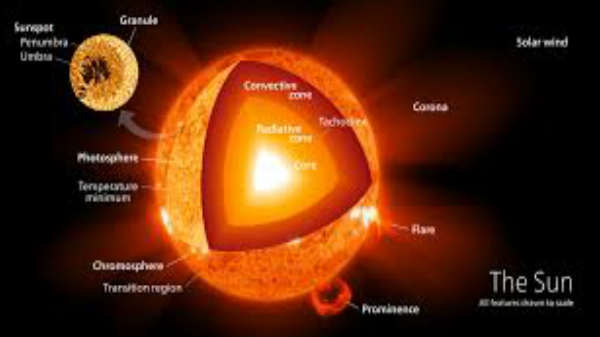 மின்காந்தபுலன்களால் சூழல்கள்: 