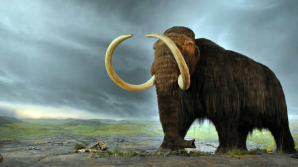 28,000 ஆண்டுகள் பழமை