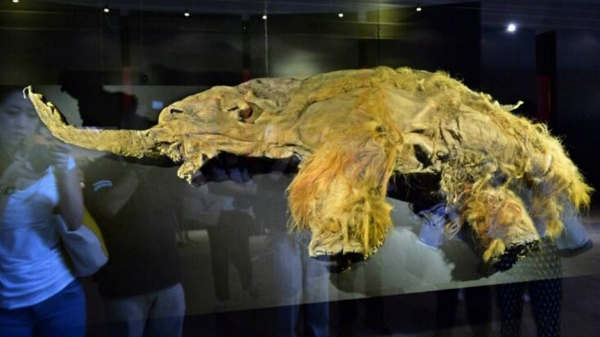  ஆய்வுகள் 