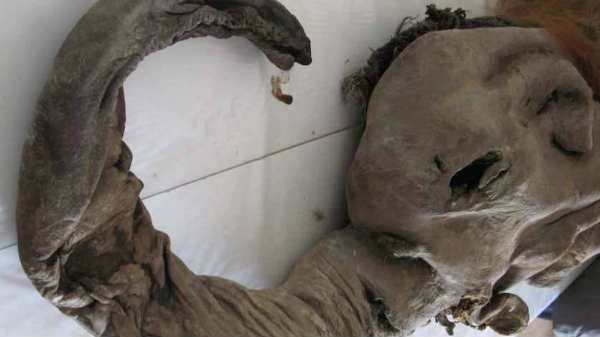 சேதமடையாத கரு 