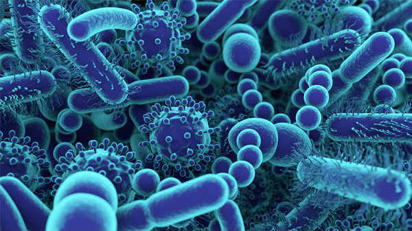 மனிதனின் இரைப்பை குடல்