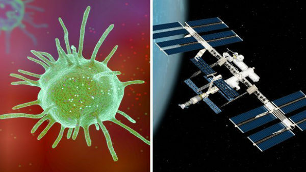 அதிர்ச்சி தகவல் 