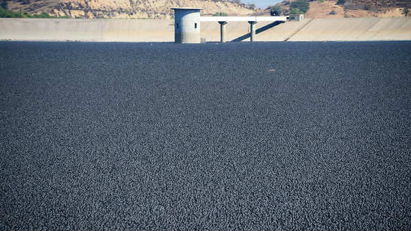 ஆவியாதல் தடுக்கப்பட்டது: