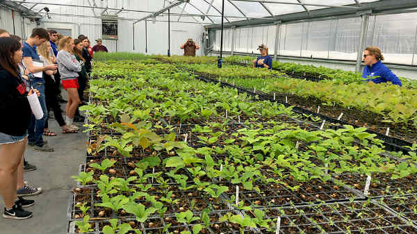 வேளாண் துறையிலும் சாதனை 