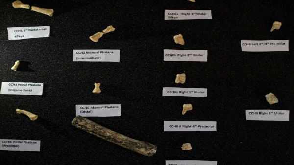 அடுத்தகட்ட ஆராய்ச்சி