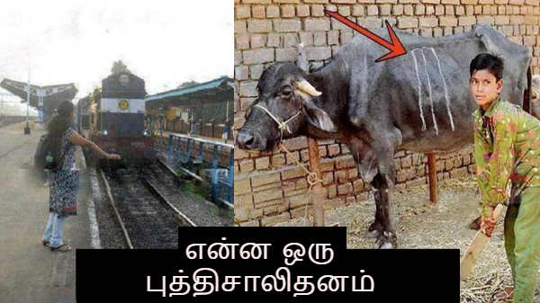  என்ன ஒரு புத்திசாலிதனம்.... இணையத்தை கலக்கும் வைரல் புகைப்படங்கள்.!