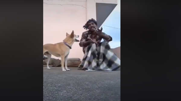 குவியும் பாராட்டுகள்: