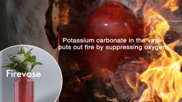 உயிர்களைக் காப்பாற்றும் வல்லமை