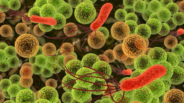 அல்ட்ராவைலெட் கதிர்வீச்சு