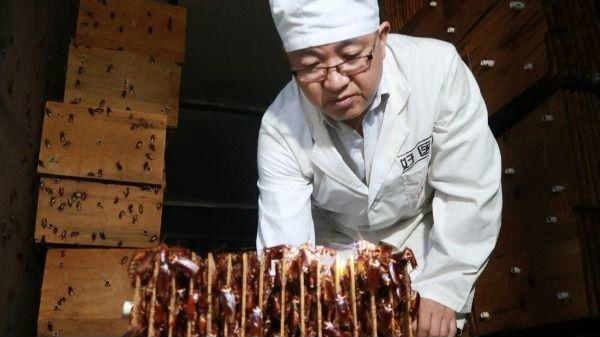 3. கழிவுகளை அகற்றும் கரப்பான்பூச்சிகள்