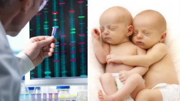 5.ஜீன்கள் மாற்றம்செய்யப்பட்ட குழந்தைகள்