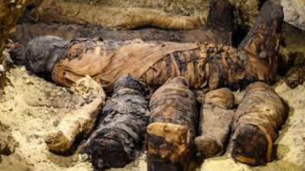 ஆராய்ச்சியாளர்களை மிரட்டிய மம்மிகள்: 