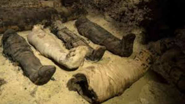 ஆய்வாளர்களின் கணிப்பு: 